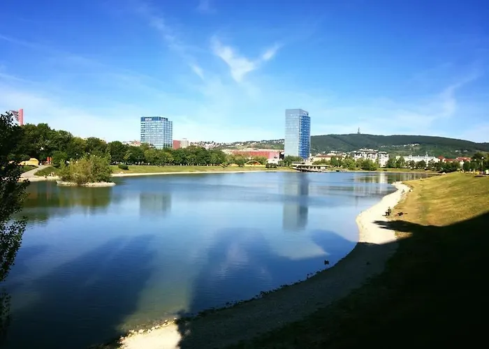 Ginko I Couette-café